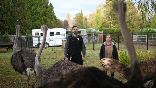 Click to watch 'Weasels and Ostriches' (popup) Animal Control